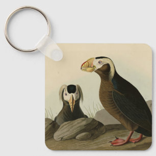 Llavero Auk Tufted (Puffin) - Los pájaros de América de Au