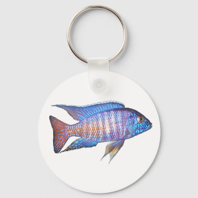 Llavero Aulonocara peacock (Anverso)