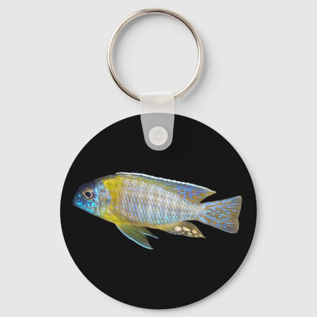 Llavero Aulonocara steveni keychain (Anverso)