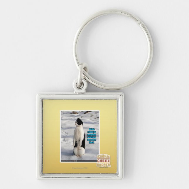 Llavero Aumentado por los pingüinos (Frente)