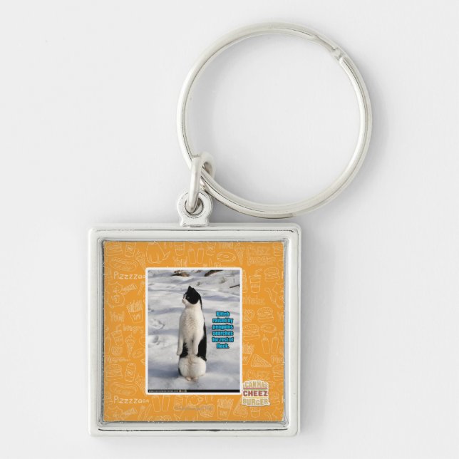 Llavero Aumentado por los pingüinos (Frente)