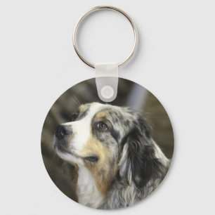 Llavero Aussie