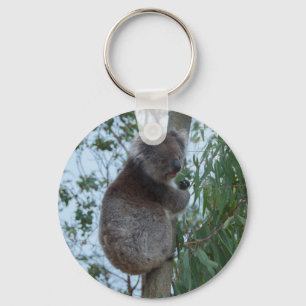 Llavero Australia Isla de los Canguros Koala en un árbol
