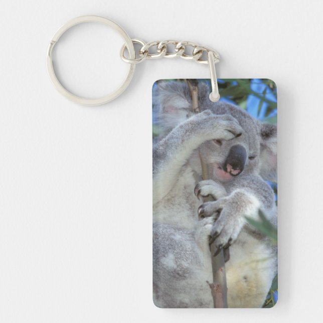 Llavero Australia, Koala Phasclarctos Cinereus) (Frente)