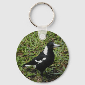 Llavero Australian Magpie keychain