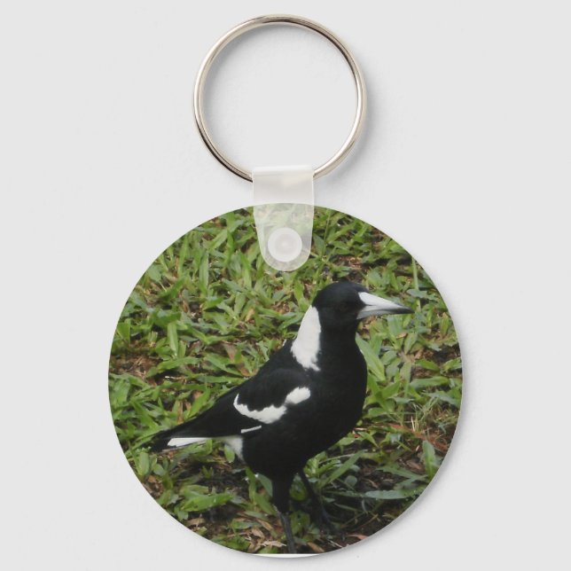 Llavero Australian Magpie keychain (Anverso)