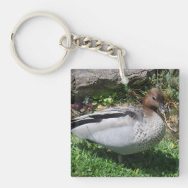 Llavero Australian Wood Duck in Tranquil Garden
