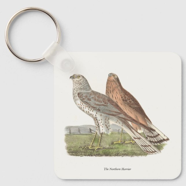 Llavero Ave NY Harrier (Halcón de cola anillada) (Anverso)