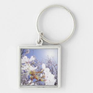 Llavero Avispa en la flor de cerezo, cierre para arriba