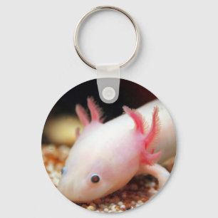 Llavero Axolotl Weißling