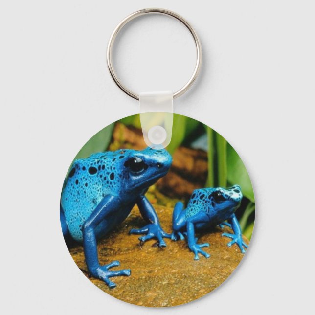 LLAVERO AZUL POISON DART FROG KEYCHAIN KEYRING (Anverso)