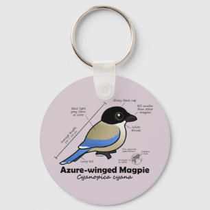 Llavero Azure-winged Magpie Statistics