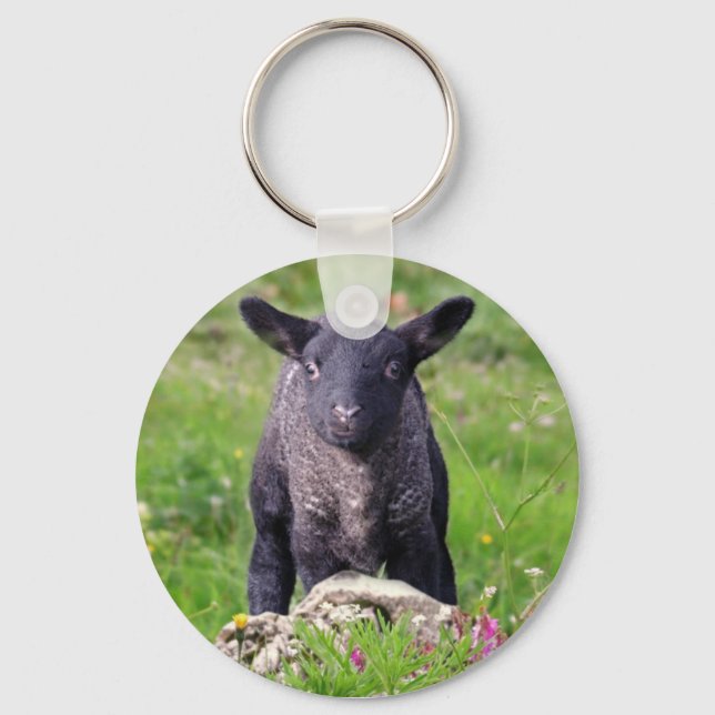 Llavero Ba-Baa Black Sheep Keyring (Anverso)