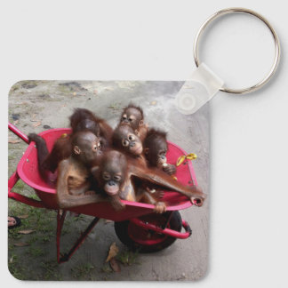 Llavero Babies de Orangutan