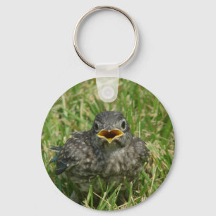 Llavero Baby Bluebird