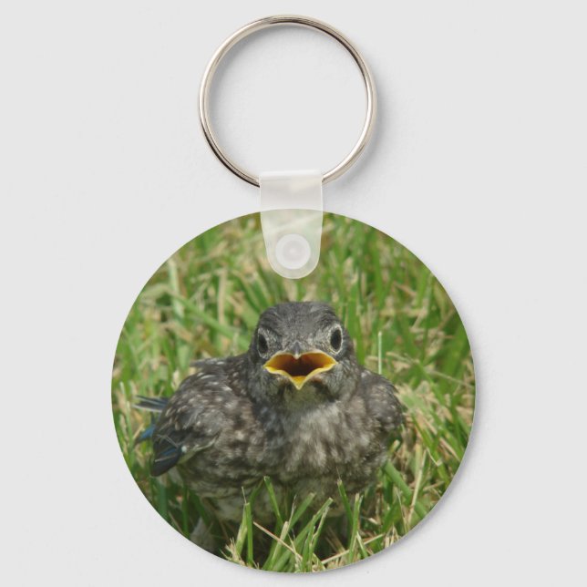 Llavero Baby Bluebird (Anverso)