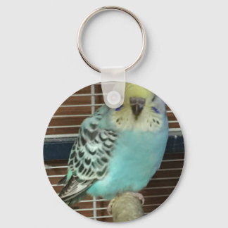 Llavero Baby budgie