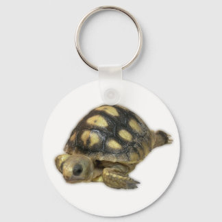 Llavero Baby Ghopher Tortoise