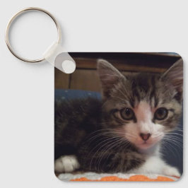 Llavero Baby Keeno Kitten Keychain