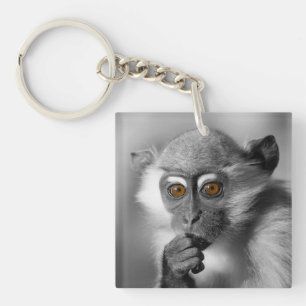 Llavero Baby Mangabey Monkey