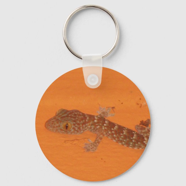 Llavero Baby Tokay Gecko (Anverso)