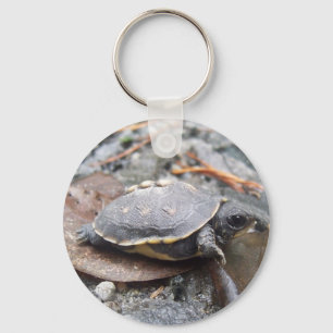 Llavero baby turtle