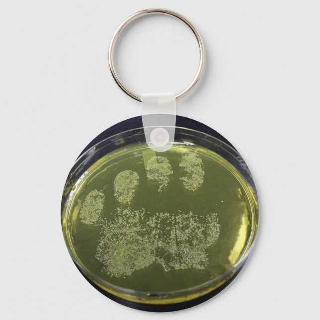 Llavero Bacteria Hand Petri Dish (Anverso)