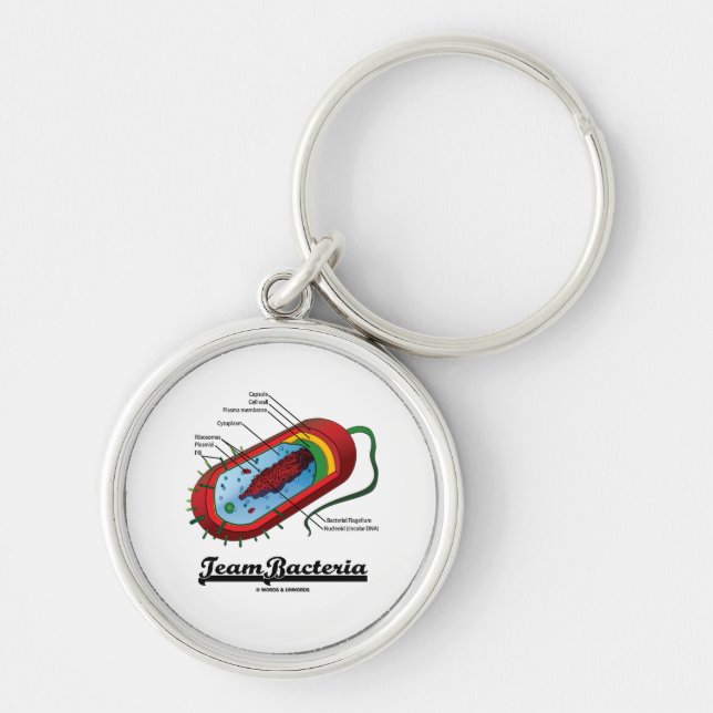 Llavero Bacterias del equipo (Prokaryote) (Frente)