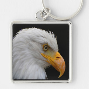 Llavero Bald Eagle