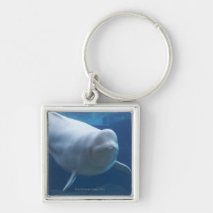 Llavero Ballena de la beluga (leucas del Delphinapterus)