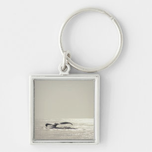 Llavero Ballena jorobada, cola sobre superficie del agua