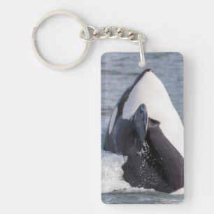 Llavero Ballena orca saltando