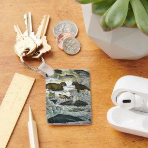 Llavero Ballenas, focas y morsas, animales marinos antiguo