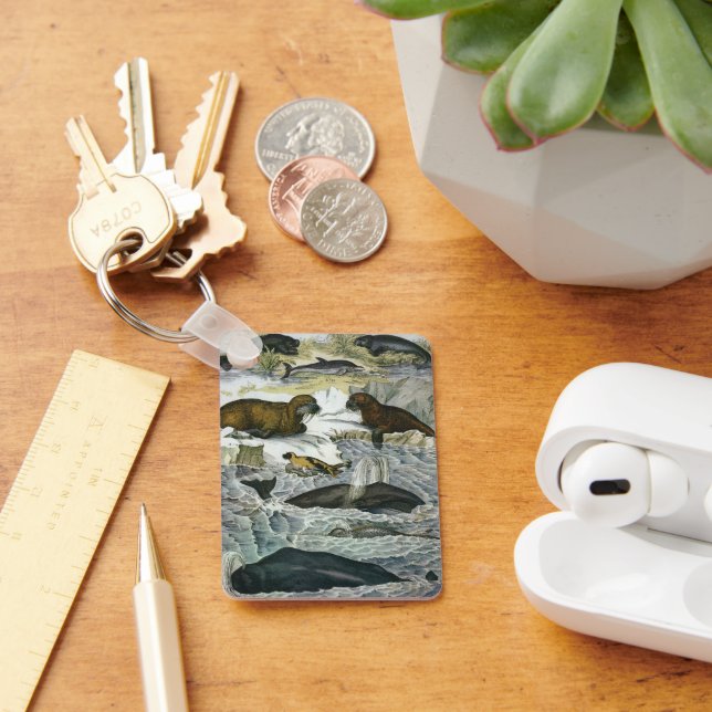 Llavero Ballenas, focas y valles, animales marinos (Escritorio )