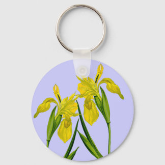 Llavero Bandera amarilla Iris Cadena de dibujo botánico