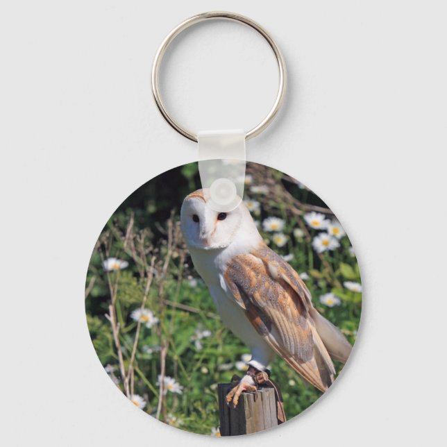Llavero Barn Owl (Anverso)