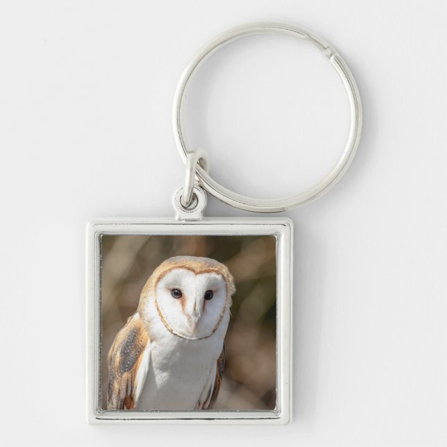 Llavero Barn Owl (Frente)