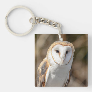 Llavero Barn Owl