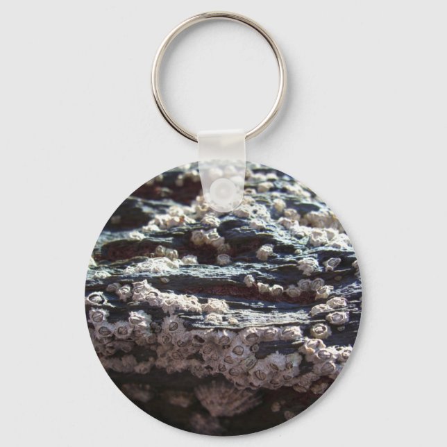 Llavero Barnacles 2 (Anverso)