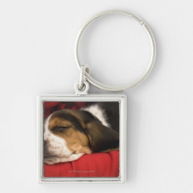 Llavero Bashaw, Alberta, Canadá (Frente)