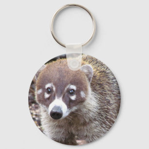 Llavero básico del botón del Coati