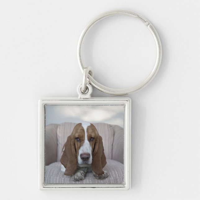 Llavero Basset Hound (Frente)