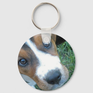 Llavero Basset Hound 02