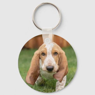 Llavero Basset Houng Puppy Walking