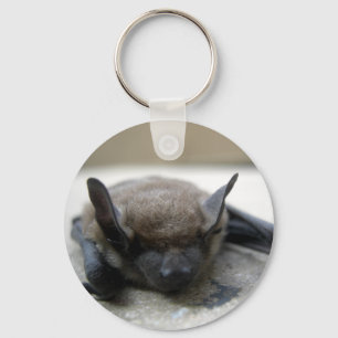Llavero Bate marrón pequeño (Myotis lucifugus)