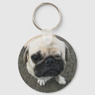Llavero Bauwk... Perro Pug... か わ い い 子 犬