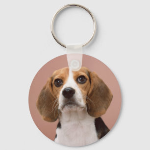 Llavero Beagle