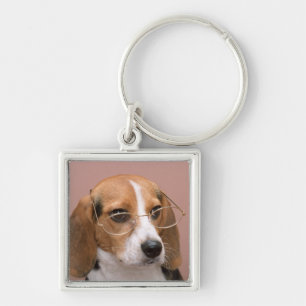 Llavero Beagle