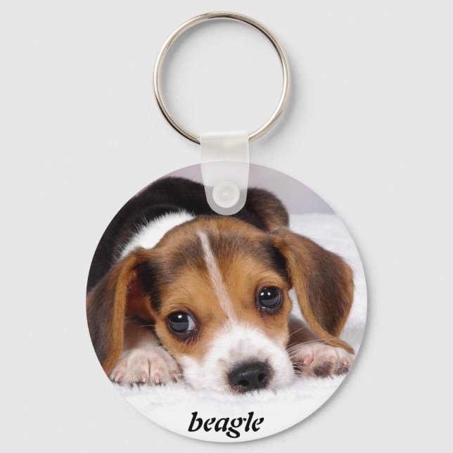 Llavero beagle-cachorros-wallpaper-11.jpg, beagle (Anverso)