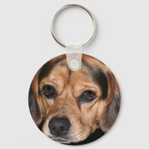 Llavero Beagle Keychain